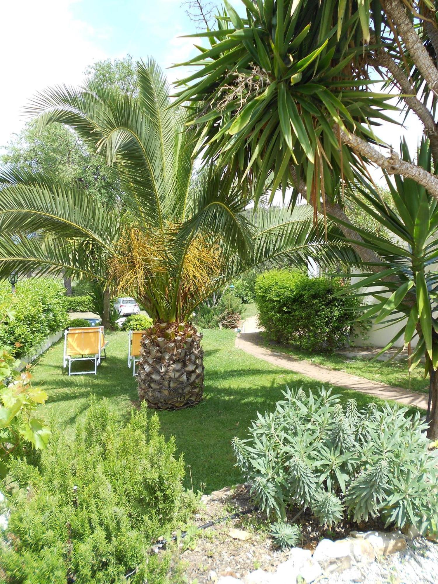 Hotel Santo Stefano